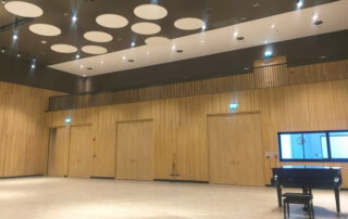 fire rated acoustic door